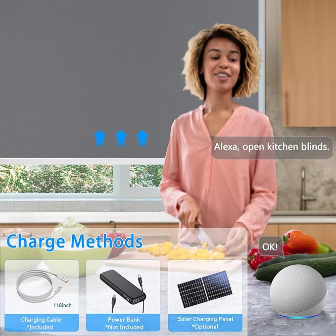 COOLWINDS Motorized Blinds with Remote Cordless Automatic Motorized Shades Custom Blinds for Windows Smart Curtains Compatible with Alexa Google Home(Blackout Thunder Grey,W24 x H72in)