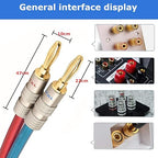 AutCreation Speaker Cable Wire with Banana Plugs,14 AWG HiFi Pure Copper Speaker Wire,99.9% OFC Stranded Copper Wire,Gold Plated Banana Tip Plugs,Red/Blue (1.5M(4.9ft))