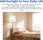 LQ BSDERA 3PK Full Spectrum Light Bulbs, 9W, 6000K Natural Light That Mimic Sunlight, Boosts Mood, Energy, Focus, A19, Sunlike Happy Light Bulbs with E26/27 Base for Most Lamps