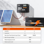 LiTime 30 Amp MPPT 12V/24V/Auto DC Input Solar Charge Controller Build-in Bluetooth Module, Parameter Adjustable LCD Display LED Indicators Solar Panel