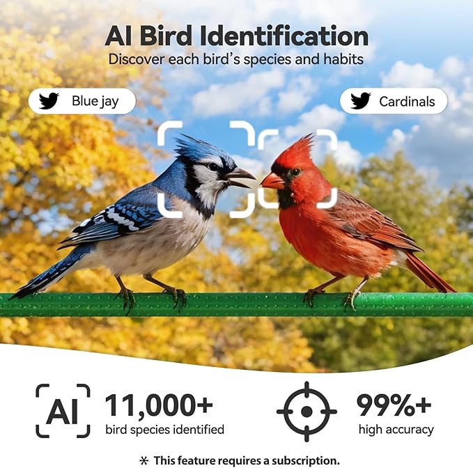 Dzees Window Bird Camera with Strong Suction Cups, 2K HD WiFi Bird Feeder Camera with AI Bird Recognition, Live Streaming, Two-Way Audio, Cloud & SD Storage, Perfect for Bird Lovers and Educators