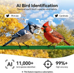 Dzees Window Bird Camera with Strong Suction Cups, 2K HD WiFi Bird Feeder Camera with AI Bird Recognition, Live Streaming, Two-Way Audio, Cloud & SD Storage, Perfect for Bird Lovers and Educators