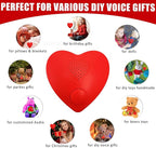XLW 16min Voice Recorder, Personal Voice Message Recordable Sound Recorder Chips Module for Stuffed Animals, Christmas Valentine's Day Plush Toy & Manual DIY Creative Sound Gifts for Boys, Girls (Red)