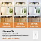 DIKAIDA Bathroom Vanity Light, 4-Light Black and Gold Bathroom Light Fixtures with Clear Glass Shade, Bathroom Lighting Fixtures Over Mirror,Bath Black Wall Lights for Mirror Bedroom,Living Room