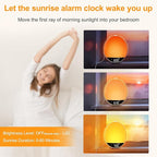 DreamSky Sunrise Alarm Clock Radio for Bedroom with Sound Machine - Dual Wake up Light Alarm Clock for Kids Adults, Digital FM Radio, Bluetooth Speaker, 26 Sleep Sounds for Baby, Dimmable Night Light