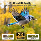 Dzees Smart Window Bird Feeder with Camera, Clear 2K HD Camera with AI Bird Identifier, Live Stream & Auto-Capture, Easy Suction Cup Installation, Perfect Tech Gift for Nature Lovers