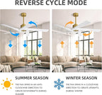 WINGBO 64" ABS DC Ceiling Fan No Light, 5 Blade ABS Plastic Ceiling Fan with Remote, 6-Speed Reversible DC Motor, Ceiling Fans without Light for Kitchen Bedroom Living Room, Brass and White