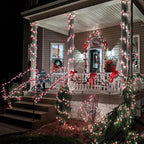 HOME LIGHTING 66ft Valentines Decorative Mini Lights, 200 LED Green Wire Fairy String Lights Plug in, 8 Lighting Mode, for Indoor Outdoor Christmas Tree Wedding Party Garden Decor (Red & White)