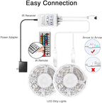DAYBETTER Led Lights 2 Ports 44 Key Remote Control, Dimmer for Strip, 4 Pin Output Remote Controller for Led Strips 12 24V DC Tape Light (Without Power Adapter)