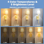 Upgrade Battery-Operated Wall Sconces Set of 2 pieces: Rechargeable Wall Lights 8000mAh with Remote Control, Gold Wireless Battery Powered Wall Lamp Wall Scone for Living Room Bedroom Hallway Bathroom