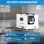 CADPXS Crawl Space Dehumidifier with Pump, 125 Pints Commercial Dehumidifiers with Drain Hose, Dehumidifier for Crawlspace, Basements & Water Damage Use, Auto Defrost, Memory Restart, cETL Listed