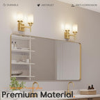 AONEON Vanity Lighting Fixtures with White Frosted Glass Shade, Double Wall Lamps for Bathroom Mirror Bedroom Living Room Washroom Porch, Gold T001GD-L2
