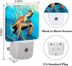 FSHVQKD Watercolor Wild Turtle Night Light,Plug Into Wall for Boys Girls Bedroom Decorative Square Night Light Lamp 0.5w Sleep Friendly