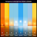 Philips Hue Smart LED A19 Bulb 4-Pack, White Color Ambiance, E26 Base, 7.2W, Full Spectrum Light 1000K-20000K, 810 Lumens, Dimmable, Works with Alexa, Google,& Apple Home