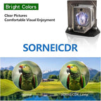 SORNEICDR BL-FP230D/BL-FP230J/BL-FP230H/SP.8EG01G.C01 Replacement Projector Lamp Bulb Compatible with Optoma HD20 HD23 HD230X HD180 HD2200 TX612 GT750 TH1020 EH1020 HD200X HD21
