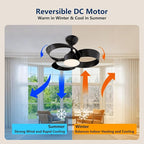 FANX 22 Inch Ceiling Fan with Light and Remote, Quiet DC Motor, Dimmable LED, Reversible 3-Speed Control, Easy Installation Flush Mount Fan for Small Rooms (Black)