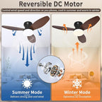 Glowall Small Ceiling Fan with Lights and Remote, 32" Flush Mount, Small Quiet, DC Motor, Reversible Blades, 6 Wind Speeds, Dimmable LED, Adjustable Color Temperature, Timer