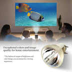 SORNEICDR P-VIP 195/0.8 E20.7 A+ Quality Replacement Projector Lamp Bulb Compatible with OSRAM Lamp Bulb Replacement (Bare Bulb ONLY)