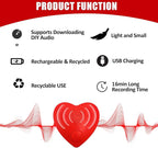 16min Voice Recorder, USB Downloadable Sound Recorder Chips Module for Stuffed Animals, Mother's Day Valentine's Day Christmas Plush Toy,Manual DIY Creative Sound Presents for Boys, Girls-2P