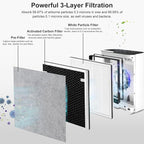 NXBHG Vital 100 Replacement Filter Compatible with Levoit Vital 100 Air Purifier, 3-in-1 and High-Efficiency Activated Carbon Filters, Part Number Vital 100-RF, 2 Pack