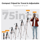 K&F CONCEPT Camera Tripod, 75" Lightweight Portable Travel Outdoor DSLR Tripods for Camera Phone Video Recording Tripod Stand, Cellphone Clip for Smartphone Live Streaming Vlog (Bronze Gold, 75'')