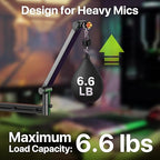 AA AUDIO ACCESSORY Low Profile Mic Boom Arm with XLR Cables 10ft 2 Pack