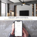 SMAAIR Smart Ceiling Fans with Lights and Remote, 52 Inch Low Profile Ceiling Fan with Dimmable LED Light, 10-Speed Reversible DC Motor Works with APP/Alexa/Google Assistant/Siri Control(Black/Gold)