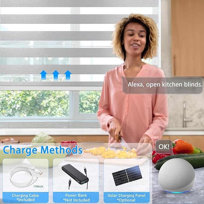 COOLWINDS Motorized Zebra Blinds for Windows Cordless Electric Curtains with Remote Control Blackout Shades Custom Smart Blinds Compatible with Alexa Google Home(Light Filtering Grey,W22 X 72in)