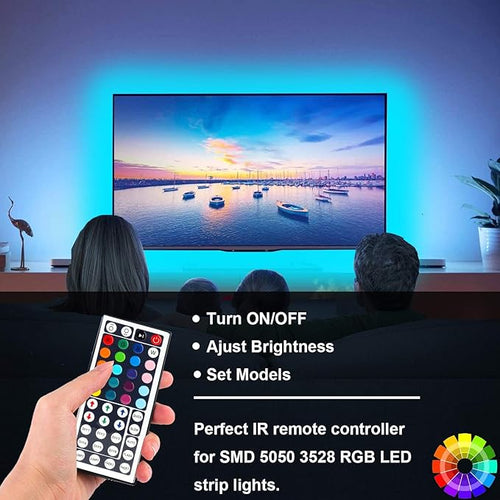 44 Key RGB LED Strip Light Remote Controller, IR Remote Controller Replacement for SMD 5050 3528 2835 RGB LED Light Strip Lights (2 Pack)