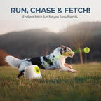 ALL FOR PAWS Automatic Ball Launcher for Dogs Interactive Puppy Pet Ball Outdoor Thrower Fetch Machine, 6 Balls Included (2.5 inch) for Medium to Large Dogs, Rechargeable Battery