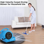 blessny 1/2 HP ETL Listed Carpet Dryer Fan, 2600 CFM Air Blower Mover for Home Drying, 15 Ft Long Cord Portable Floor Blower Fan with 3-Speeds Daisy Chain Function (Blue)
