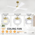 WINGBO 54" Wet Rated Outdoor Ceiling Fan with Lights, 4 ABS Plastic Blades, Reversible DC Motor, 6-Speed Remote Control, 3 CCT, Waterproof Ceiling Fan for Patio Porch Gazebo Garage, Brass and White