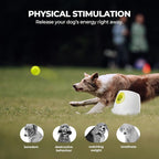ALL FOR PAWS Automatic Ball Launcher for Dogs Interactive Puppy Pet Ball Outdoor Thrower Fetch Machine, 6 Balls Included (2.5 inch) for Medium to Large Dogs, Rechargeable Battery
