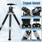 LEOFOTO Carbon Fiber Mini Table Tripod with Ball Head for Camera, Lightweight Desktop Tripod with Base, 1/4" Arca QR Plate for Phone Adaptor/Projector, Max Height 10.43", Max Load 11LB, MT-02C Plus
