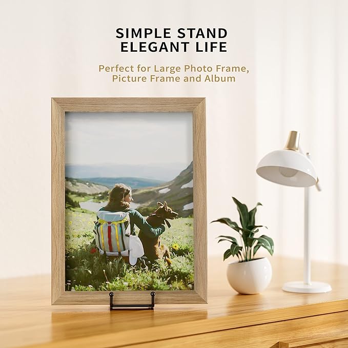 IPAME 4 Pack 8 Inch Large Plate Stands for Display - Metal Square Wire Plate Holder Display Stand + Picture Stand for Book, Platter, Plaque, Photo Easel