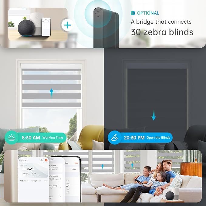 DENFOON Motorized Zebra Blinds, Solar Powered Dual Layer Automatic Shades with Remote Control, Rechargeable Smart Blinds Horizontal Wireless Electric Shades for Windows, Custom Size, Gray， 33 x 72