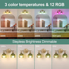 Shenmoyl Battery Operated Bathroom Light Fixtures, 2-Light Brass Vanity Wall Light with 5000mAh Rechargeable Bulb Over Mirror with Green Tulip Glass Shade for Bedroom Living Room