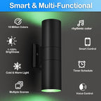 wowlite RGB Up Down Outdoor Wall Lights 2 Pack, 1200LM Smart Cylinder Outdoor Lights for House, Color Changing Exterior Lighting Fixtures APP Control Works with Alexa, IP65 Waterproof Porch Light