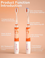 SEAGO Kids Electric Toothbrush with 2 Mins Brushing Timer and 4 Replacement Bursh Heads, Rainbow LED Light Make Brushing Fun, Boys Battery Powerd Toothbrush for 4-12 Years Old，SG-977(Orange)