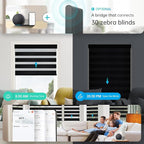 Motorized Zebra Blinds, Solar Powered Dual Layer Automatic Shades with Remote Control, Rechargeable Smart Blinds Horizontal Wireless Electric Shades for Windows, Custom Size, Black， 39 x 72