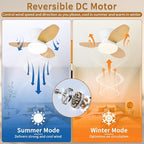 Glowall Small Ceiling Fan with Lights, 25 Inch Flush Mount with Remote Control, Reversible Quiet DC Motor, 3 Blades, 6 Speeds, Dimmable LED, Adjustable Color Temperature, Timer