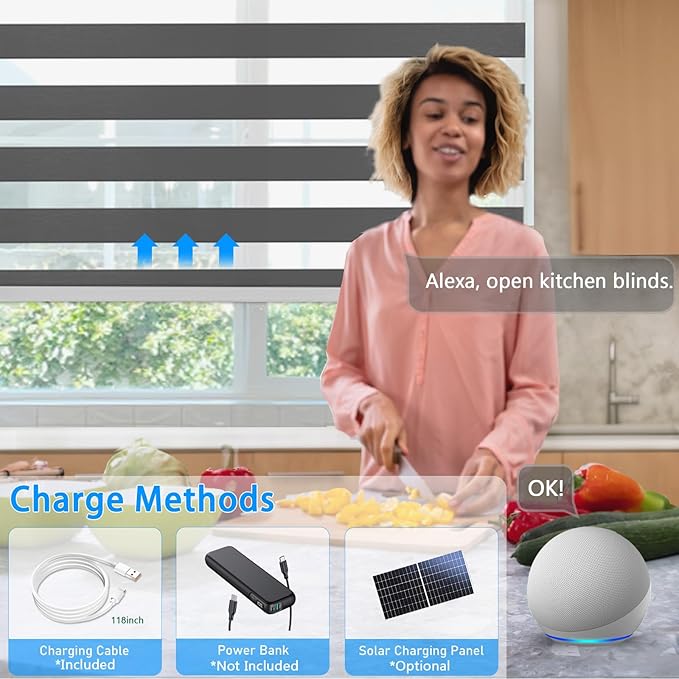 COOLWINDS Motorized Zebra Blinds for Windows Cordless Electric Curtains with Remote Control Blackout Shades Custom Smart Blinds Compatible with Alexa Google Home(Light Filtering Black,Customize)