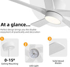 WINGBO 48 Inch DC Ceiling Fan with Lights and Remote Control, 5 Carved Solid Wood Blades, 6-Speed Noiseless Reversible DC Motor, Indoor Ceiling Fan in Gloss White Finish with White Blades