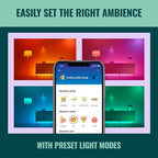 WiZ Clear 40W BA11 Tunable White Filament LED Smart Candle-Shaped Bulb - Pack of 1 - E26- Indoor - Connects to Your Existing Wi-Fi - Control with Voice or App - Matter Compatible