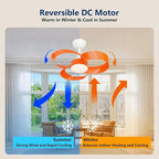 FANX 22 Inch Ceiling Fan with Light and Remote, Quiet DC Motor, Dimmable LED, Reversible 3-Speed Control, Easy Installation Flush Mount Fan for Small Rooms (Tangerine)