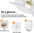 WINGBO 54" Wet Rated Outdoor Ceiling Fan with Lights, 4 ABS Plastic Blades, Reversible DC Motor, 6-Speed Remote Control, 3 CCT, Waterproof Ceiling Fan for Patio Porch Gazebo Garage, Brass and White