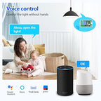DieseRC 4x1 Channel WiFi Smart Switch with 1x Bluetooth Transmitter, DC 5V 12V 24V Passive Output Relay Module Ewelink APP WiFi Control Compatible with Alexa/Google Home, Inching/Self-Locking Switch