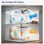 ocioc 52 Inch Ceiling Fans with Lights and Remote,Modern Ceiling Fan with Quiet Reversible DC Motor,6 Speeds,Timer,Dimmable, Black Ceiling Fan for Bedroom,Patios