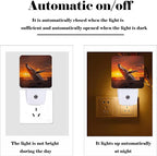FSHVQKD Sunset Humpback Whale Night Light,Plug Into Wall for Boys Girls Bedroom Decorative Square Night Light Lamp 0.5w Sleep Friendly