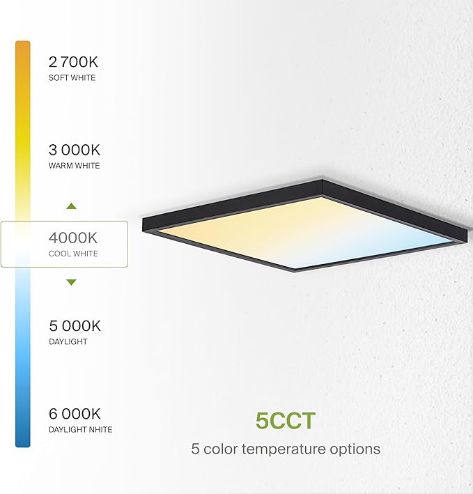 ASD LED 12" Square Flush Mount Ceiling Light Fixture, Low Profile Surface Lighting | 5CCT, Dimmable, Ultra-Thin, ETL Listed | 24W 1700LM 2700-6000K 120V | Kitchen, Bedroom, Hallway Lamp | Black